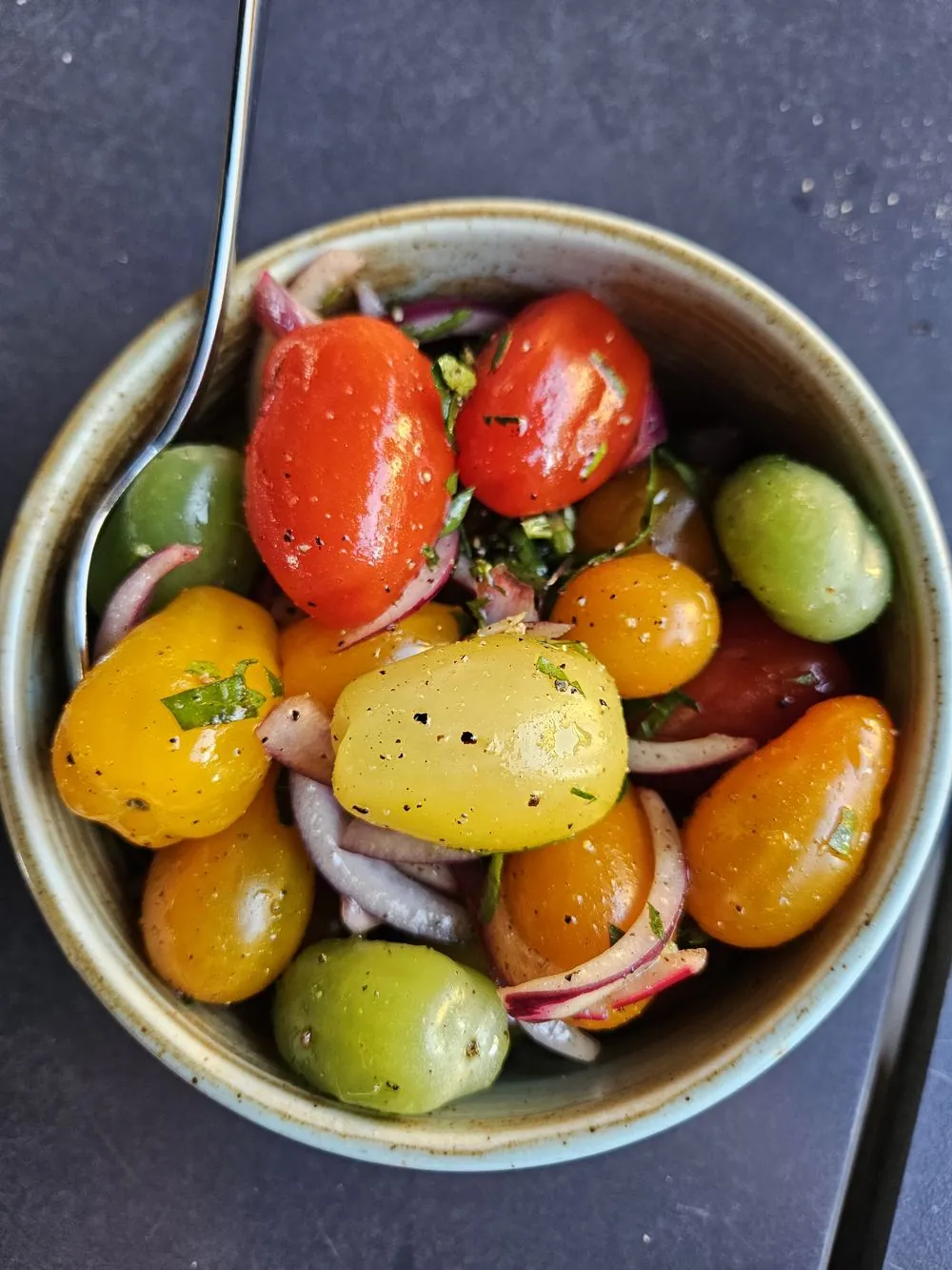 Färgglad tomatsallad med rödlök och basilika